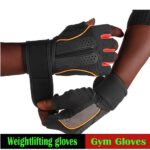 WhatsApp Image 2025-09-04 at 3.08.48 PM